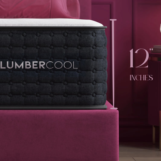 3z-firm-no-foundation