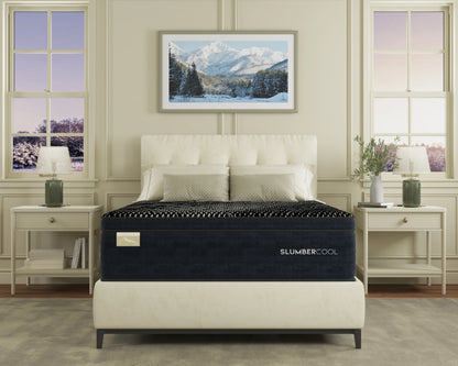 3z-max-3z-plush-euro-top-no-foundation